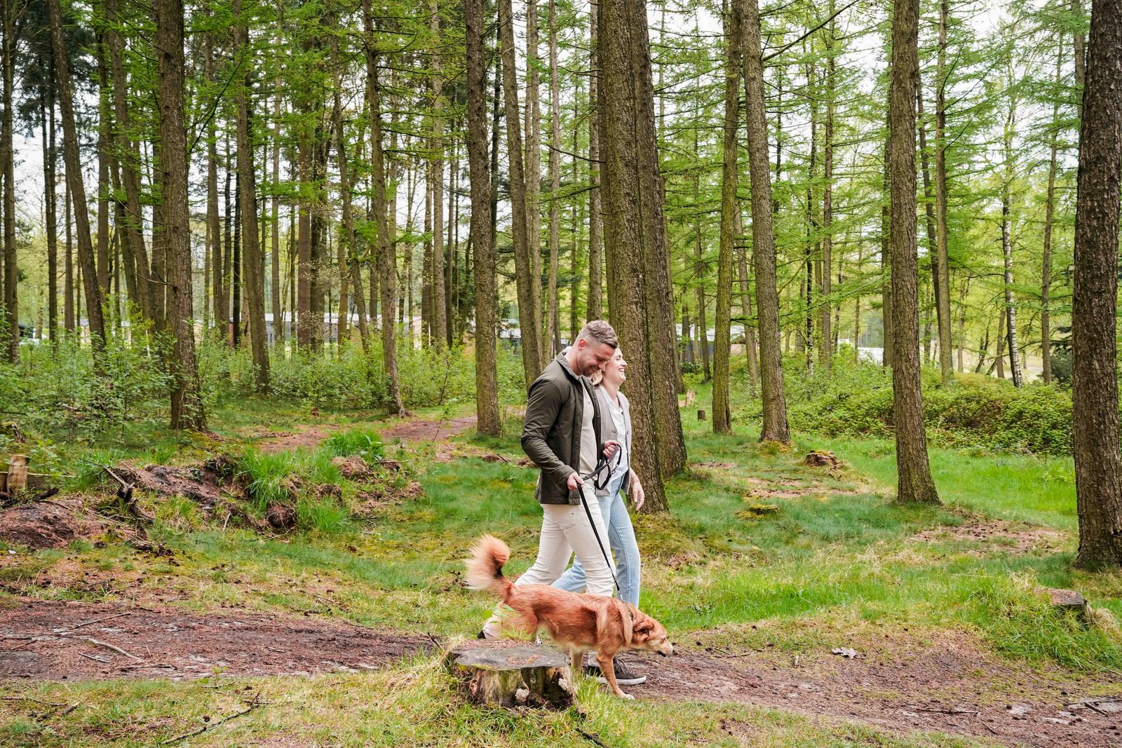 Omgeving Uitzicht omgeving