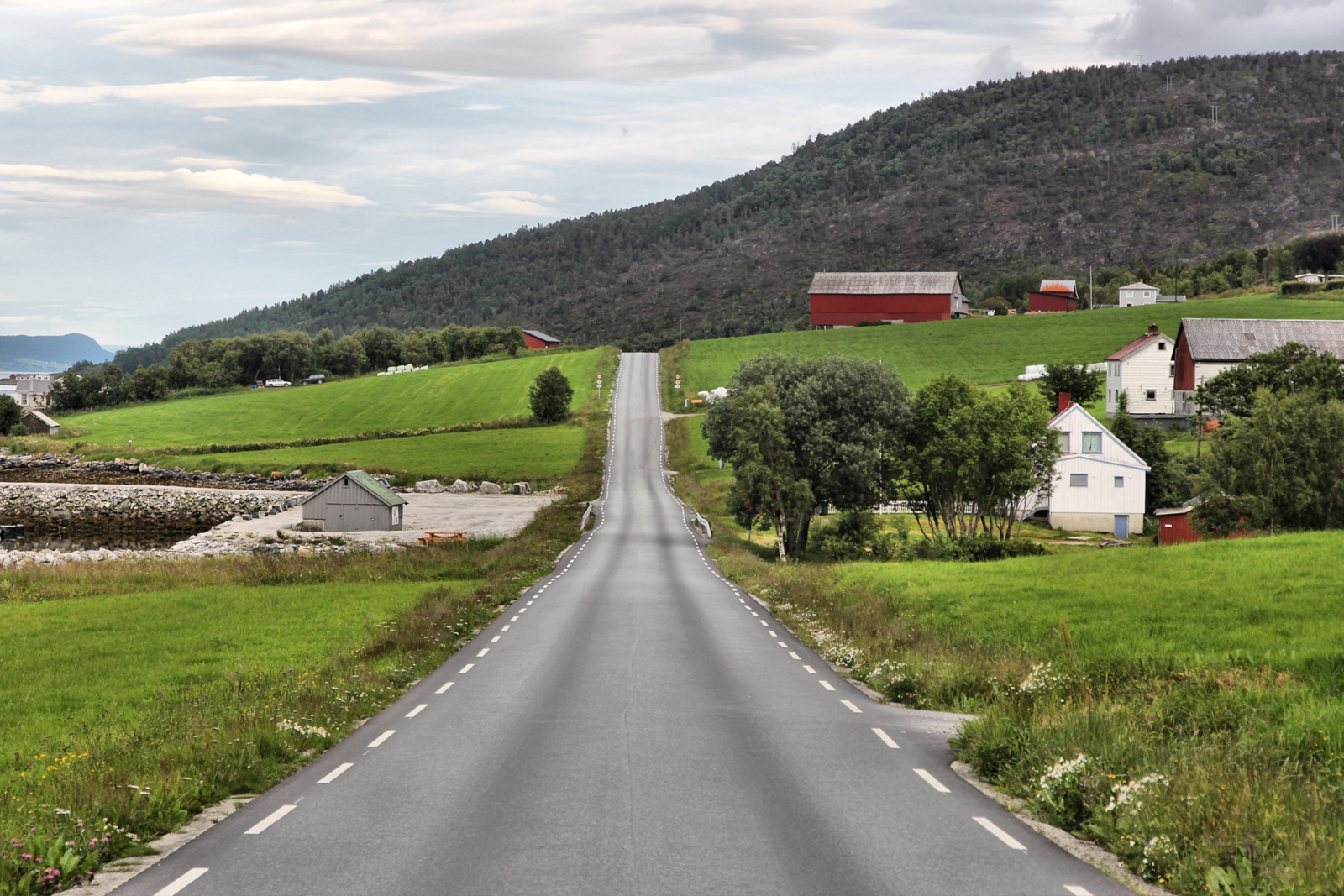 Road through Norway