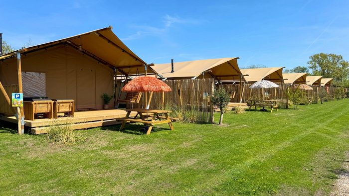 de Watersnip in Petten — foto 3