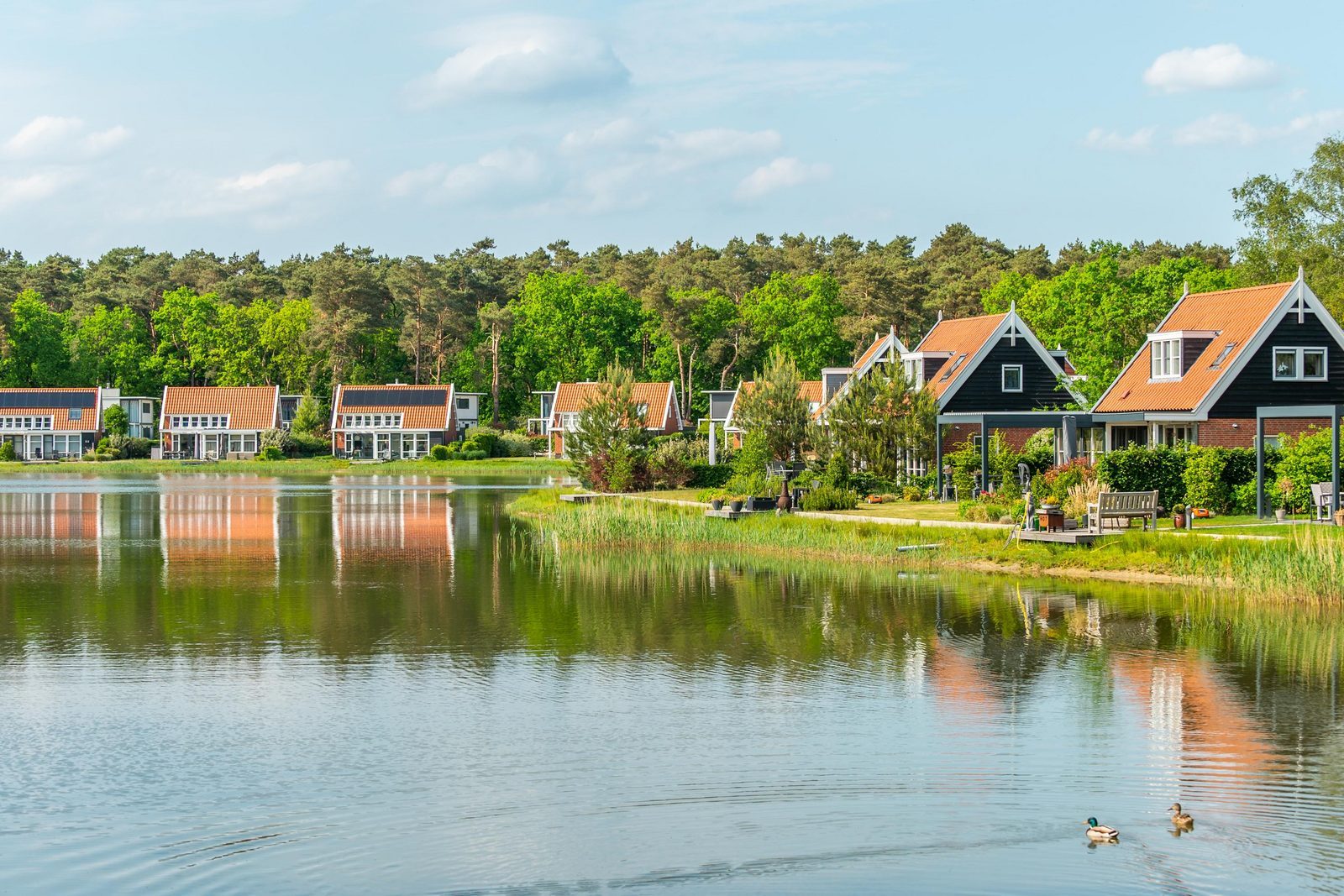 Vakantiepark EuroParcs De Zanding