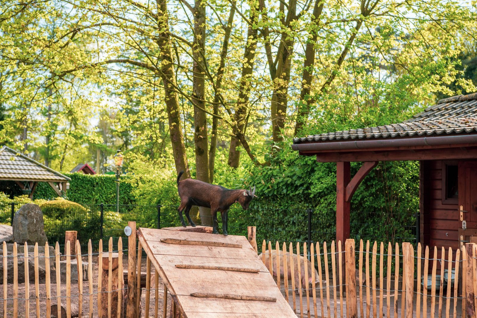 EuroParcs De Achterhoek