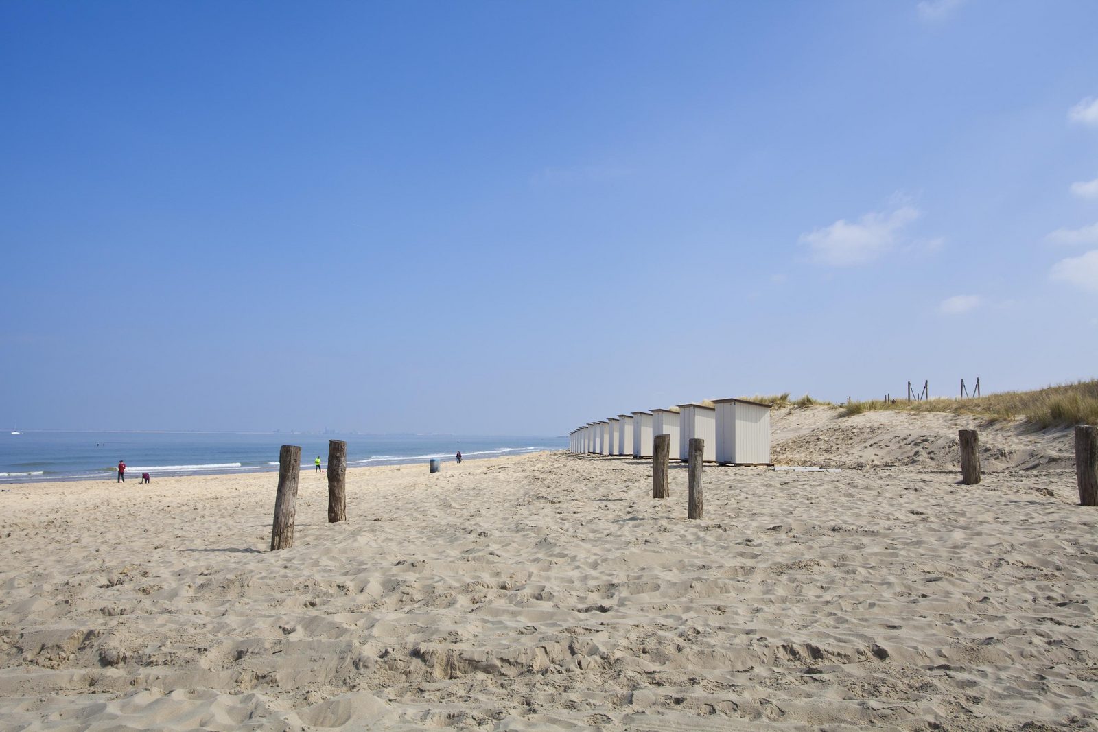 Omgeving