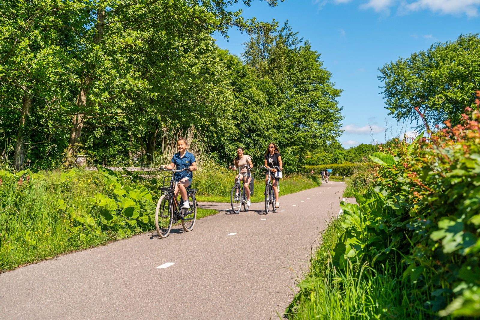 Bike rental