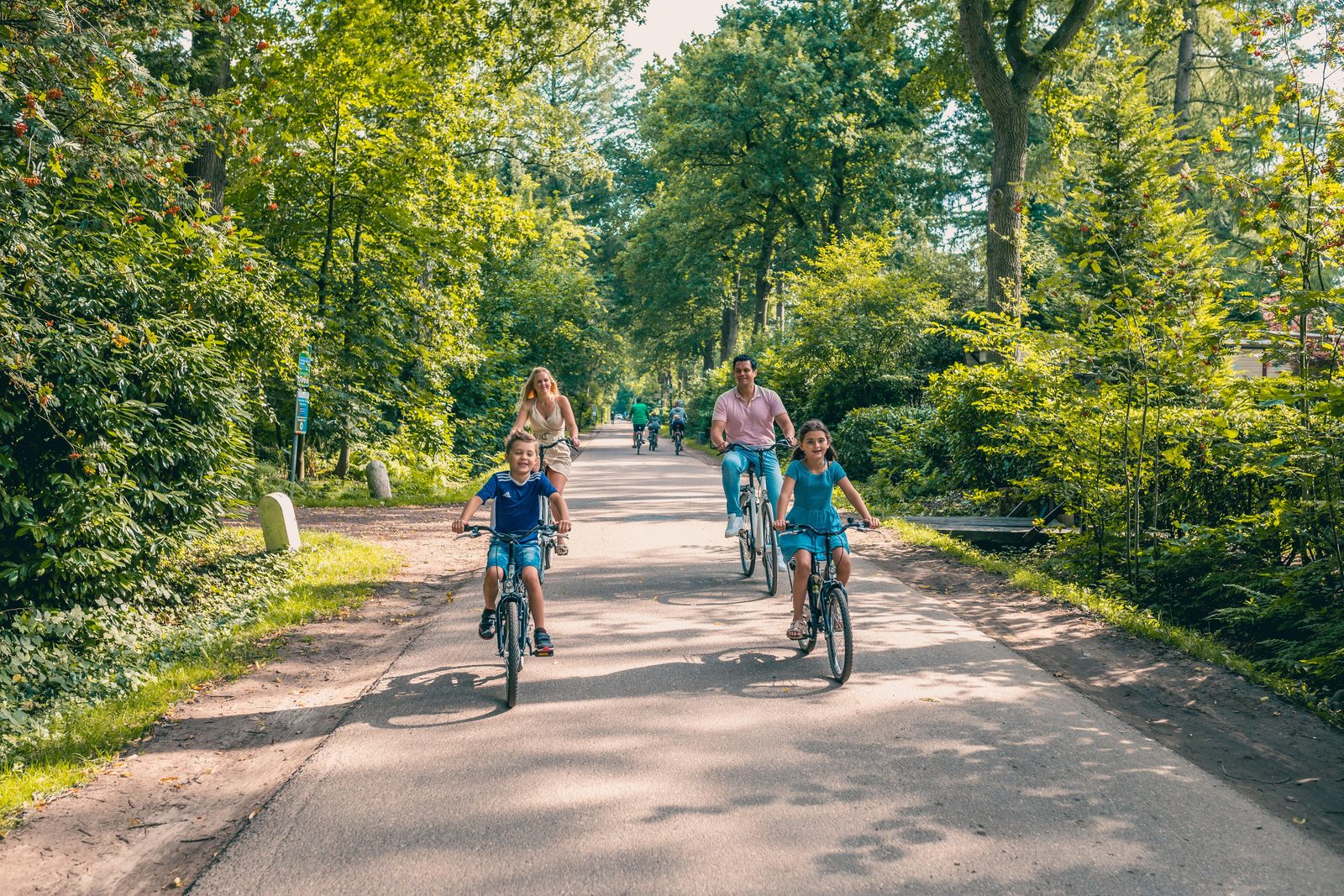 Fahrradverleih