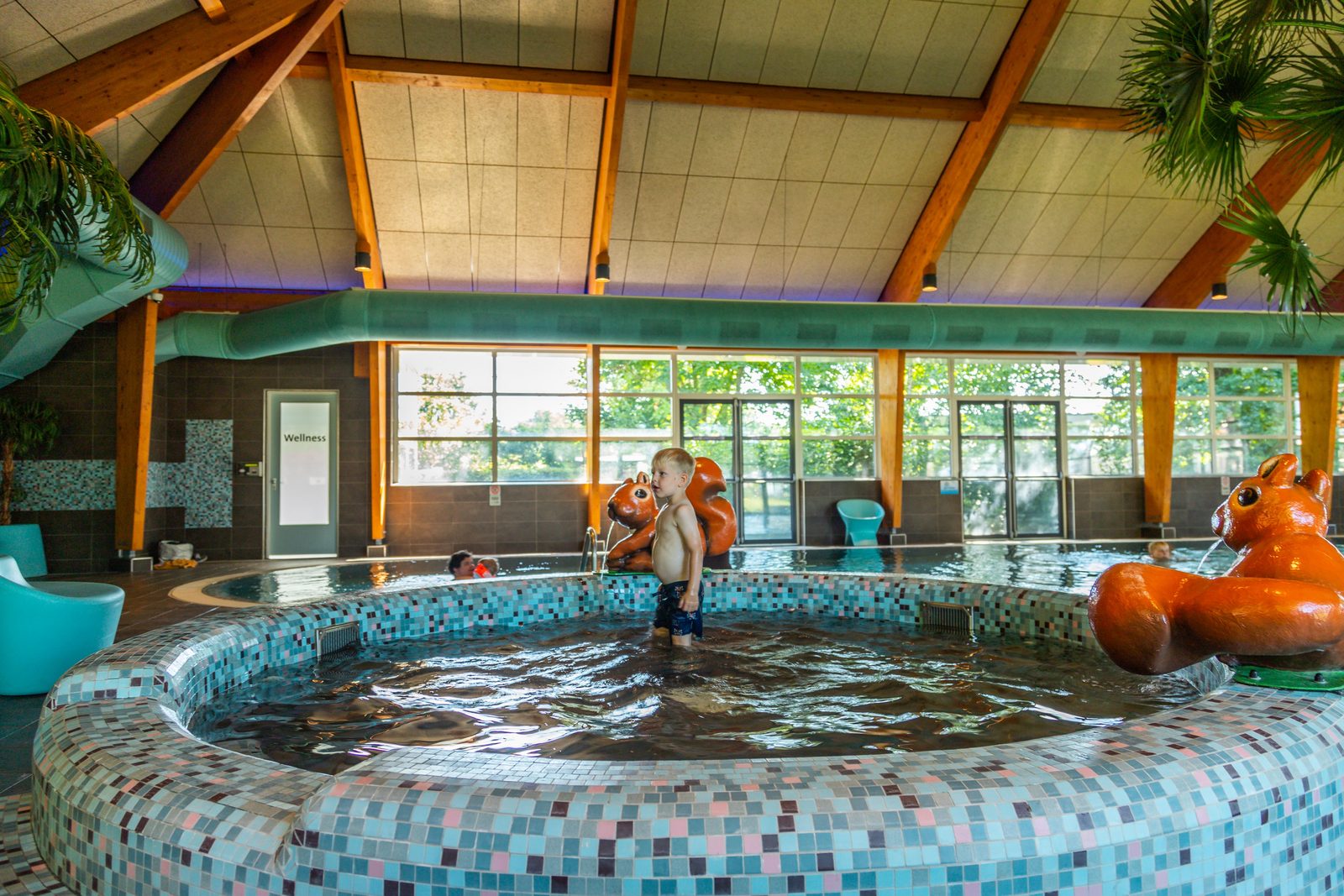Hallenbad & Wellness-Center