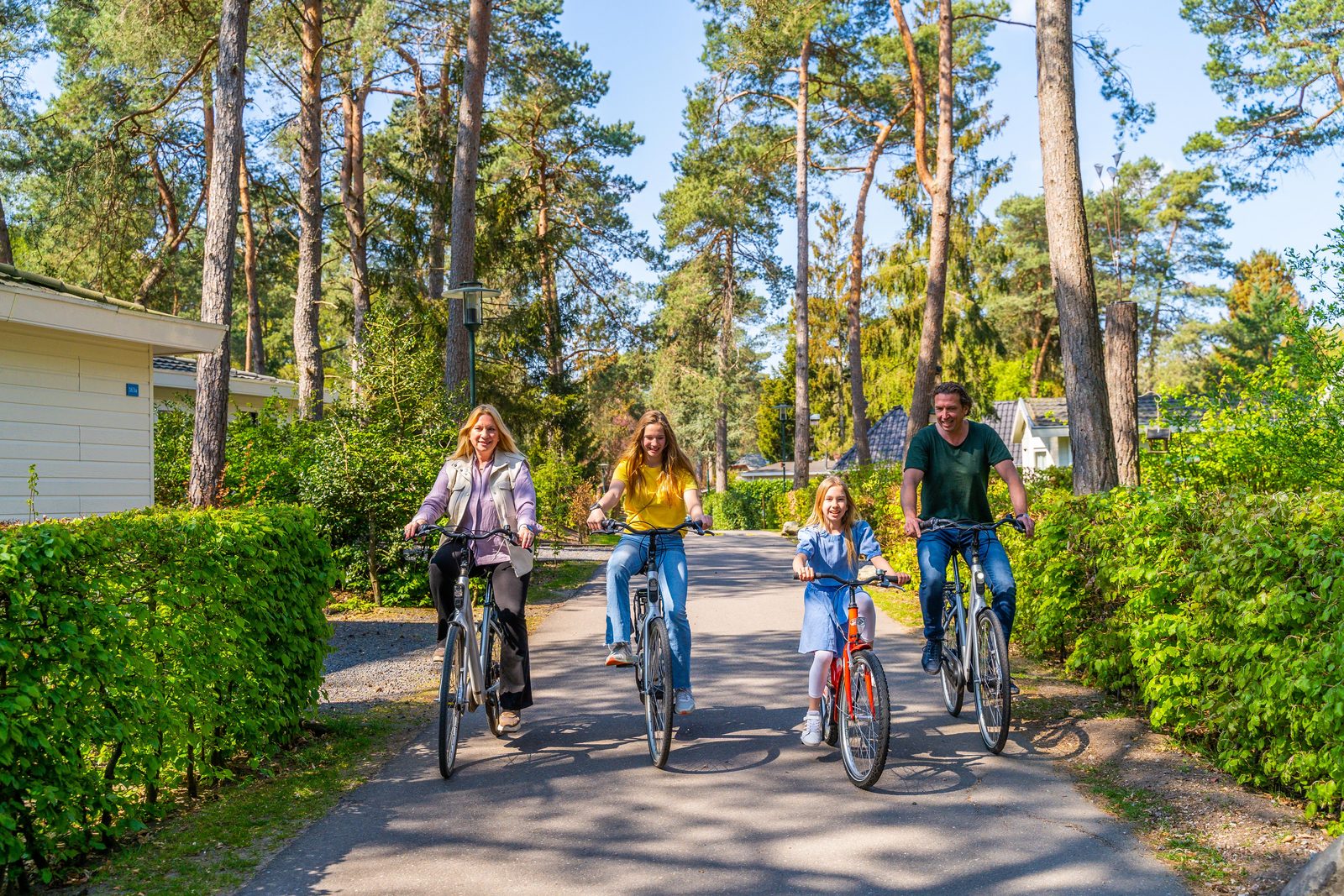 Fietsverhuur