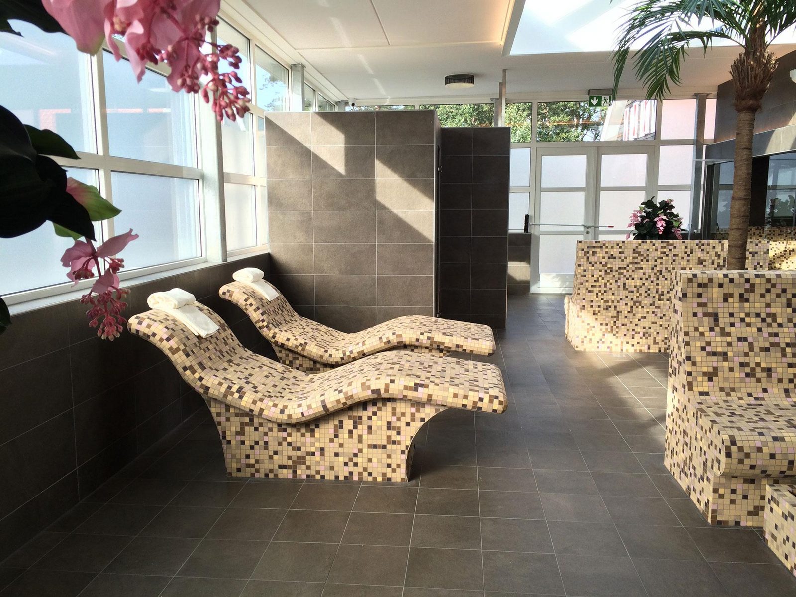 Wellness