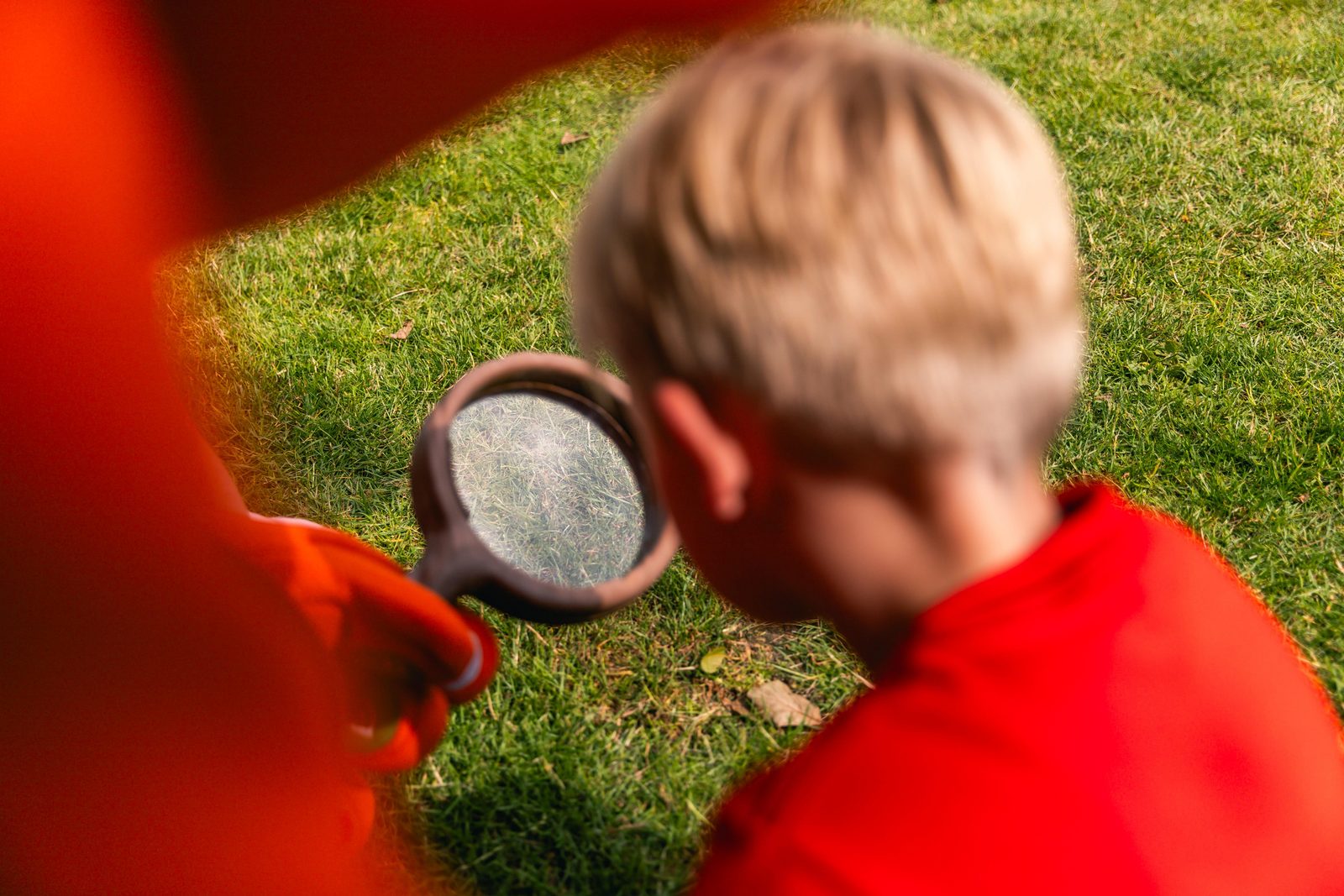 Kids Safari 
