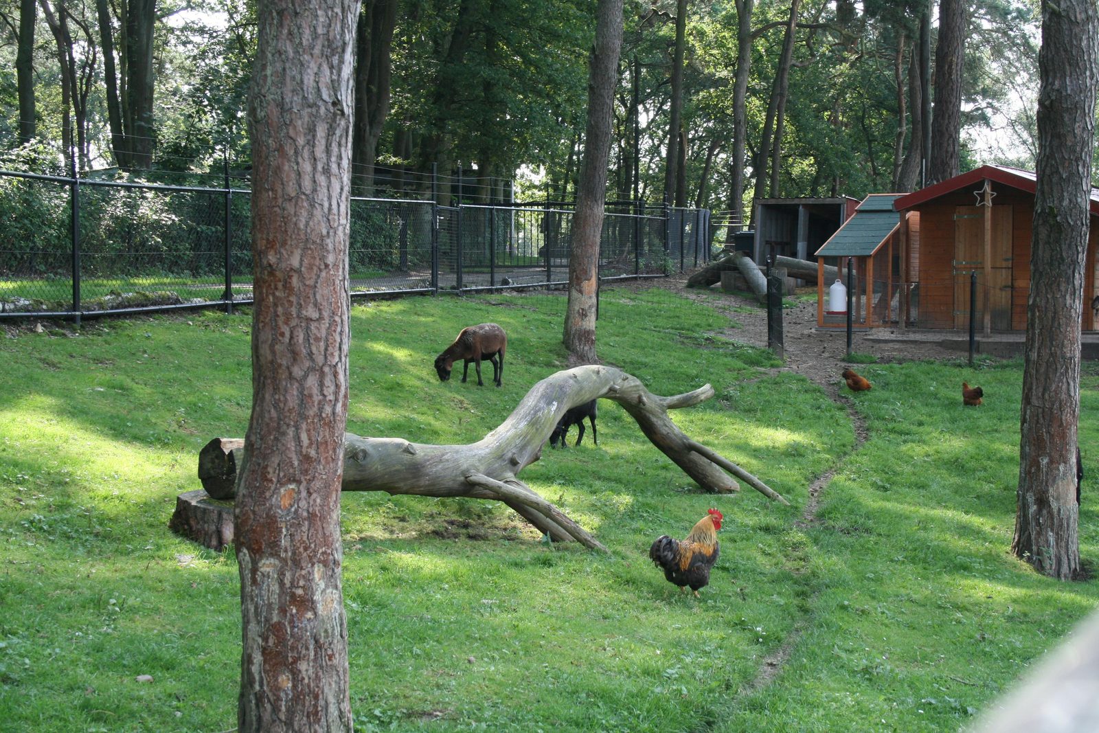 Animal Farm