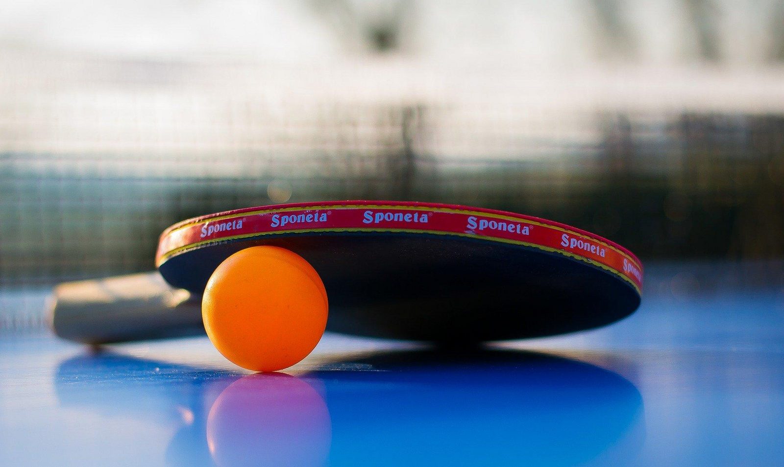 Table tennis table