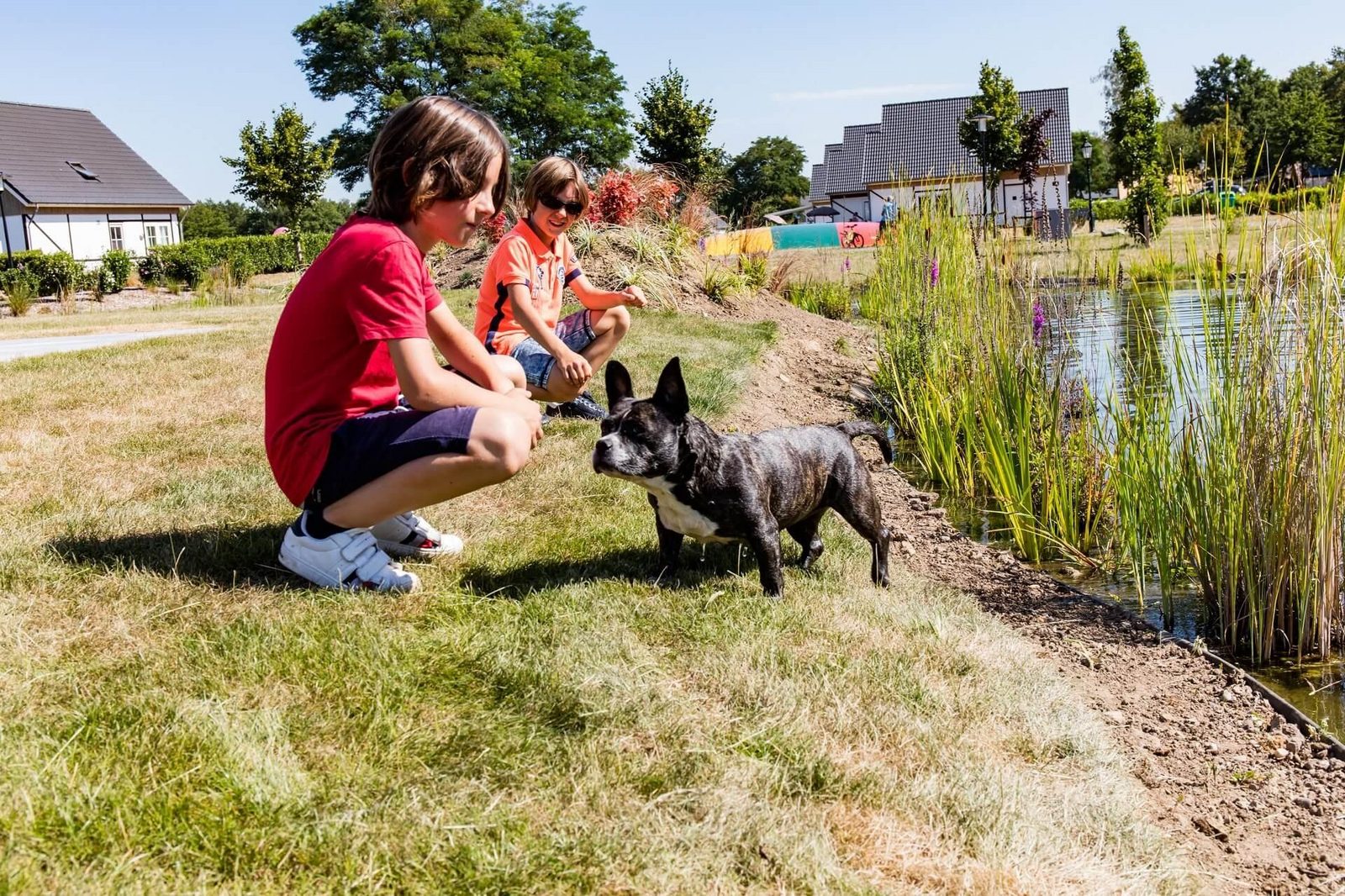 Holiday with your dog? 