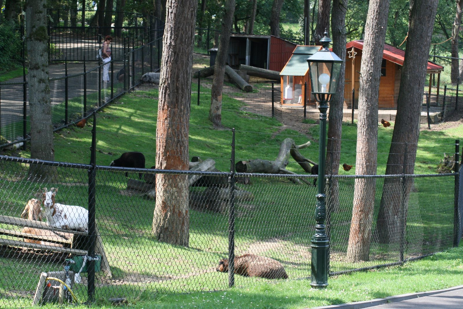 Animal Farm