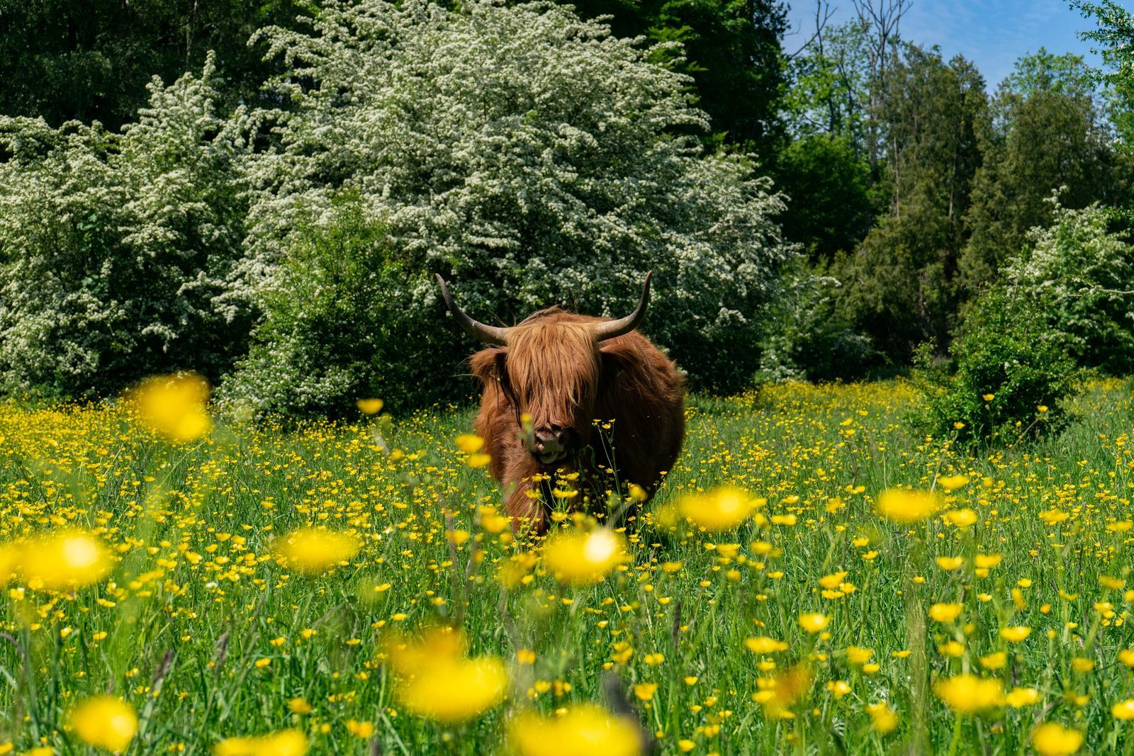 EuroParcs Het Amsterdamse Bos