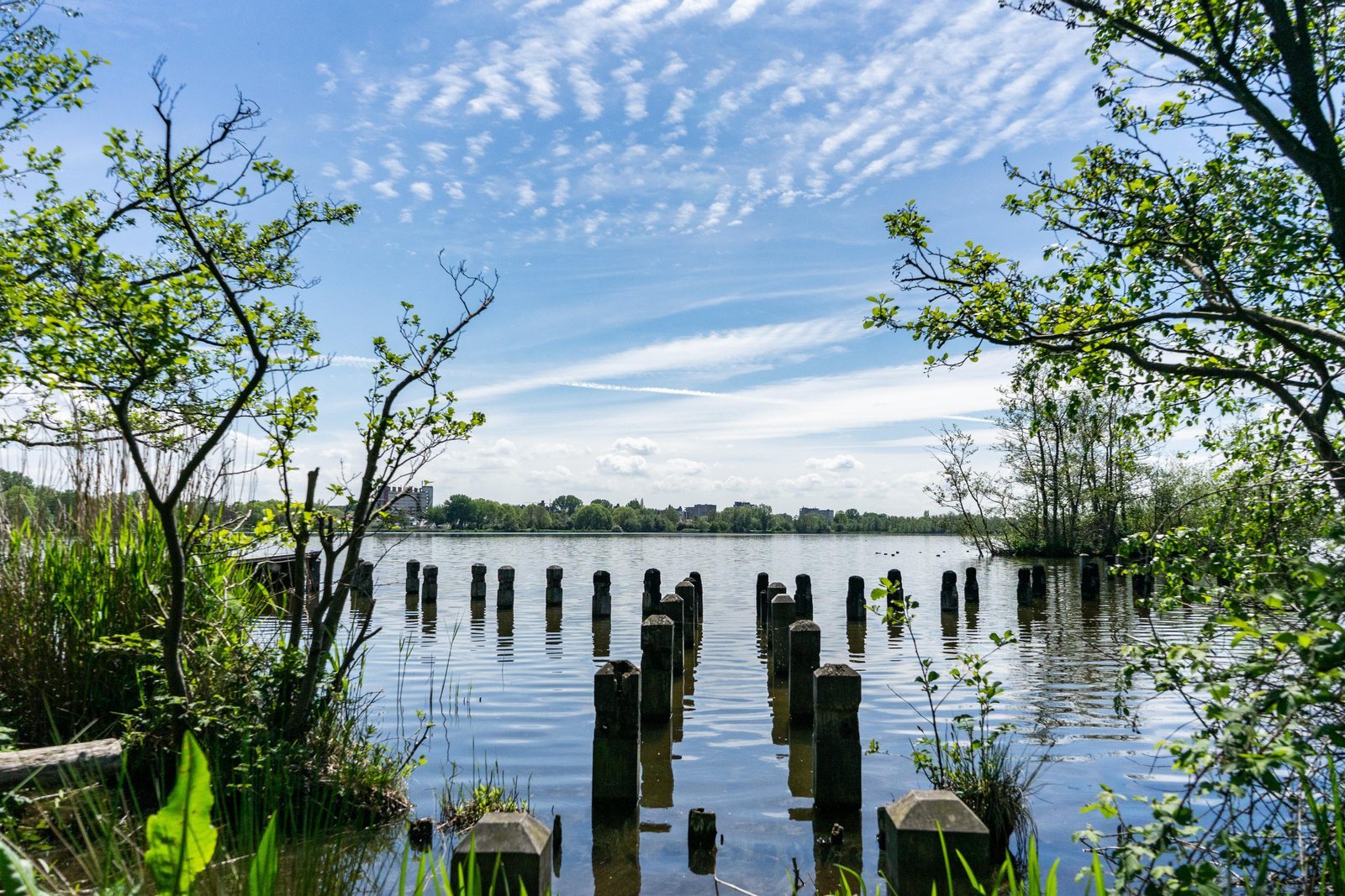 EuroParcs Het Amsterdamse Bos
