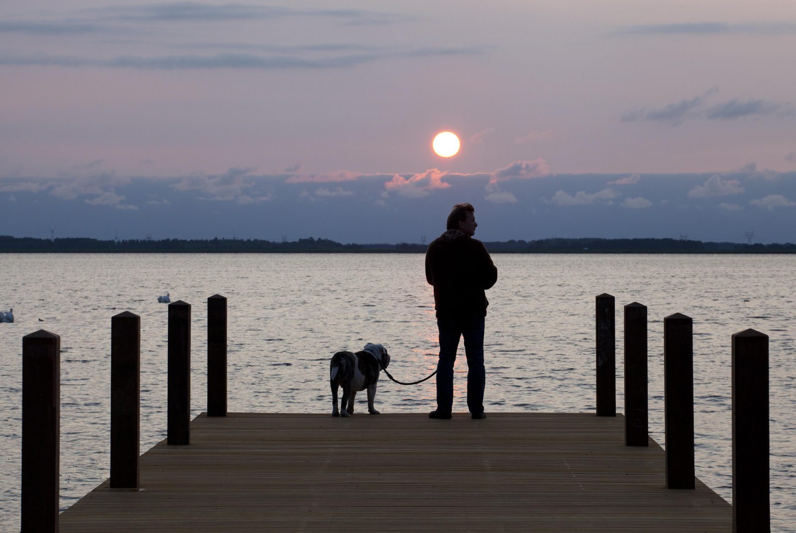 Strand und Natursee