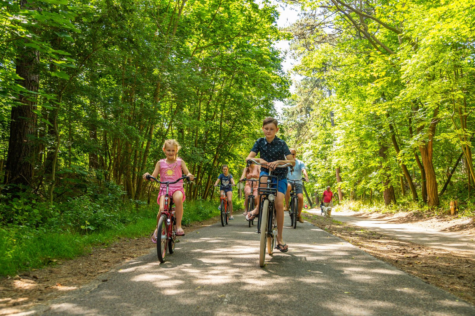 Fahrradverleih