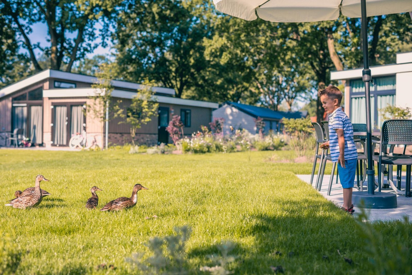 Vakantiepark EuroParcs Kaatsheuvel