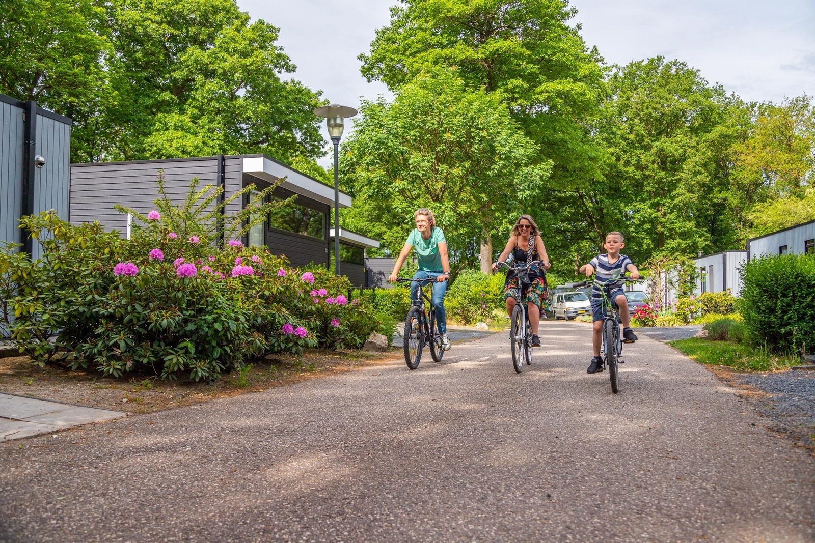 Vakantiepark EuroParcs Maasduinen