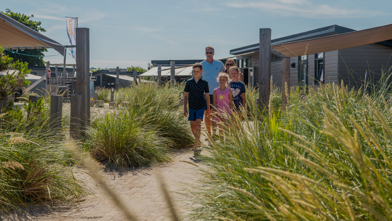 Duinen Noordwijk