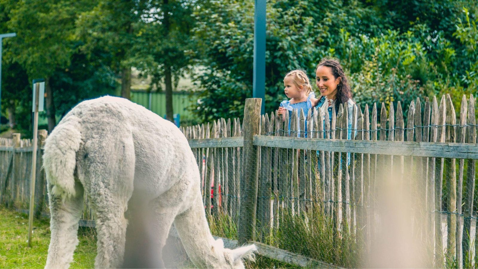 Dierenweide