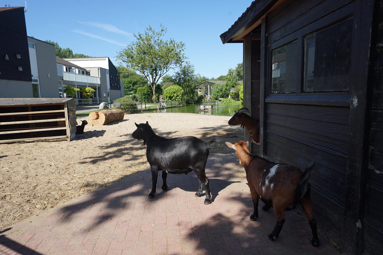 Dierenweide