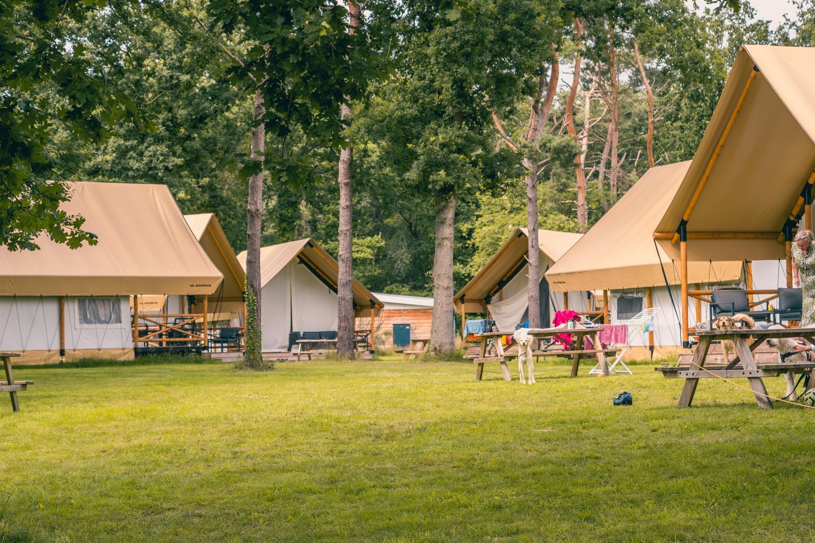 Glamping Reestervallei
