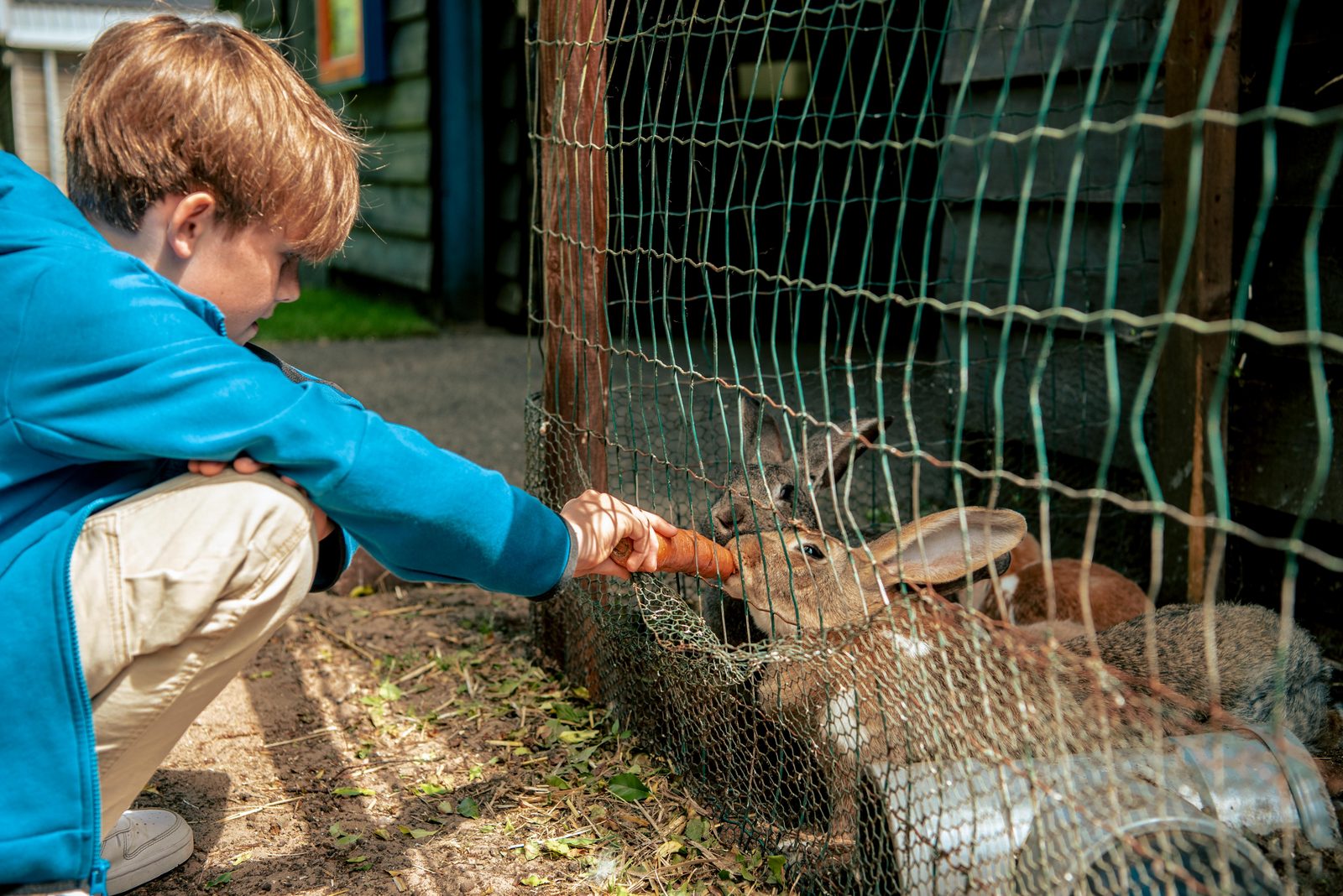 Kinderboerderij