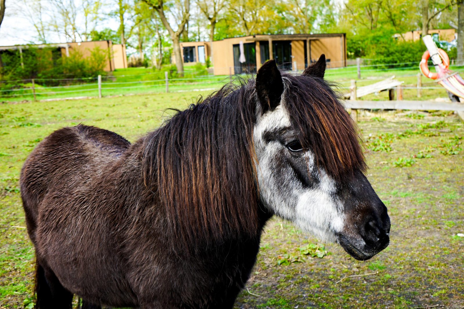 Kinderboerderij