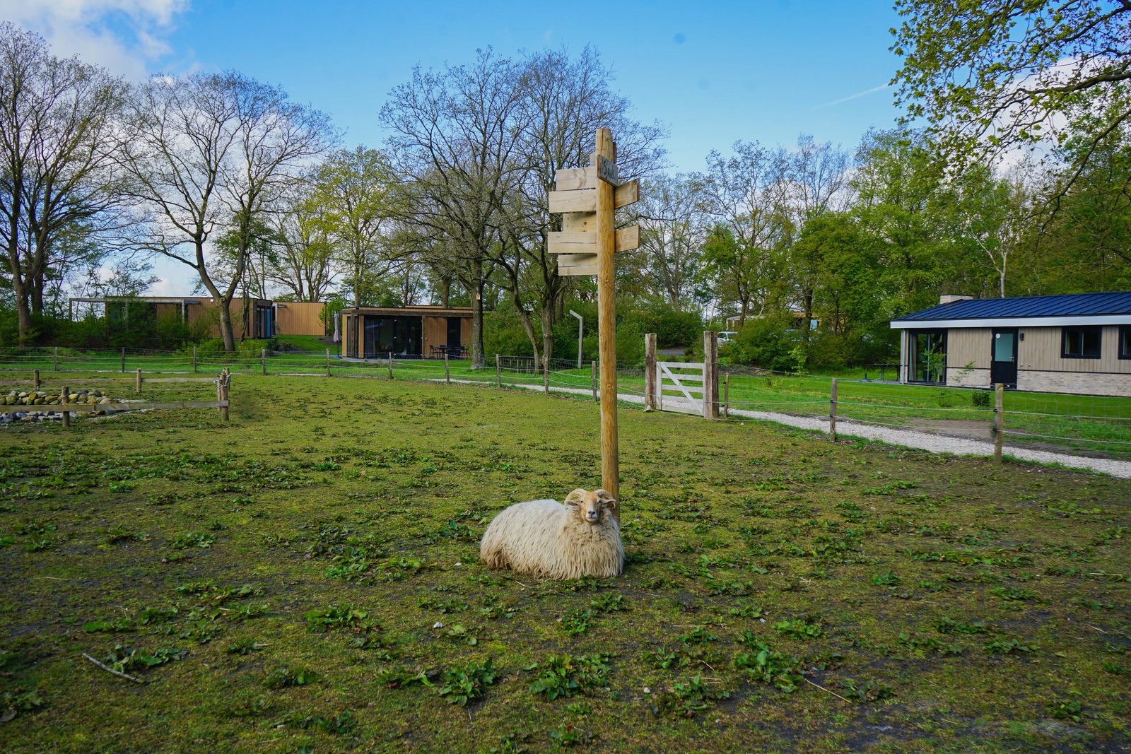 Kinderboerderij