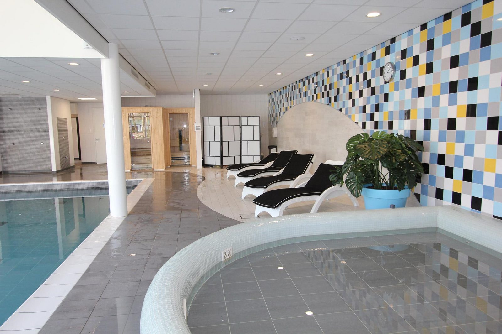 Binnenzwembad & Wellness
