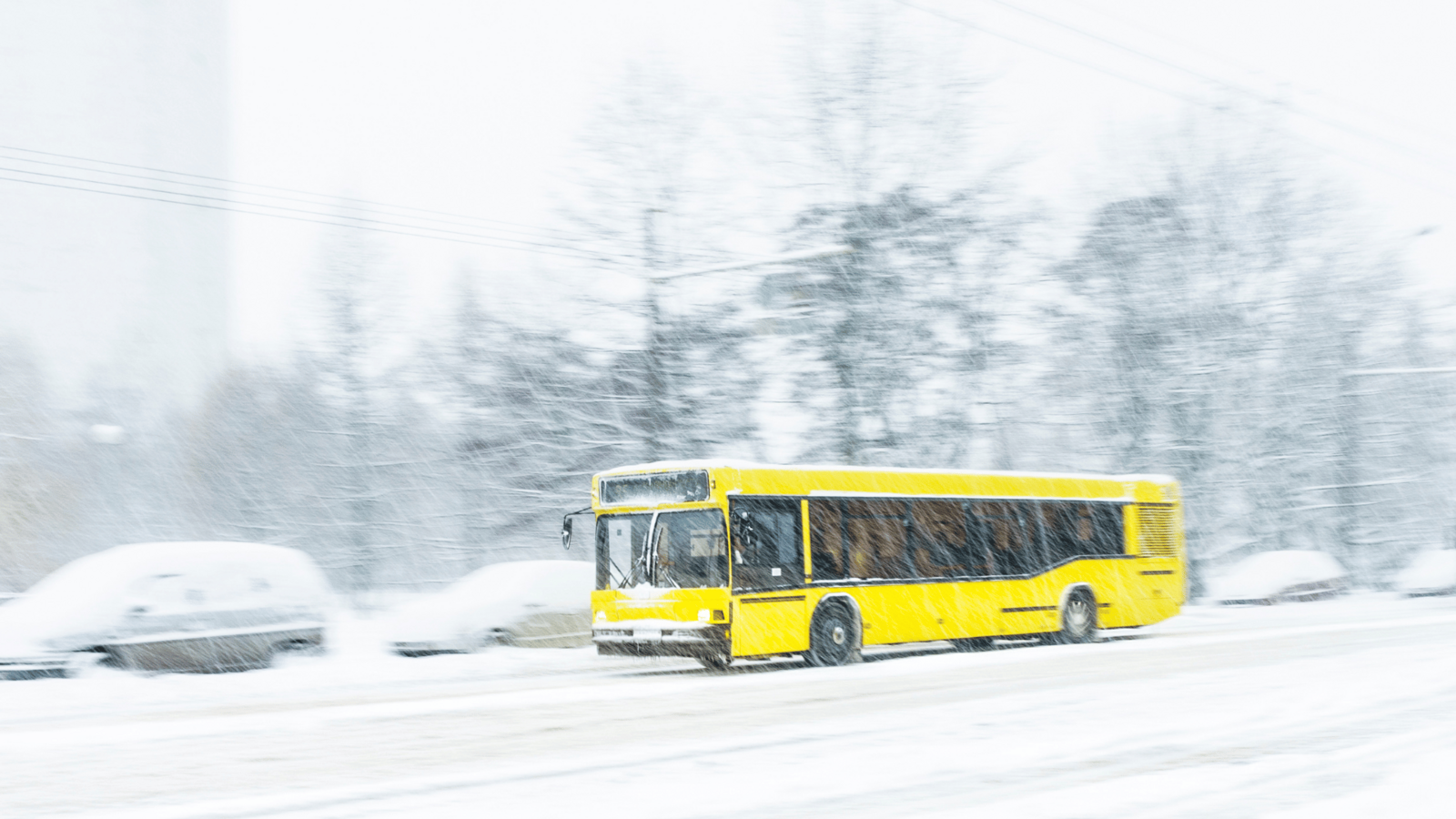 Skibus