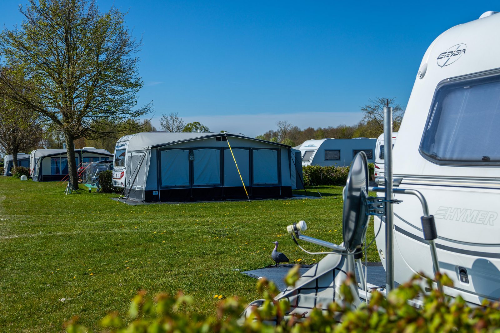 Camping | Kamperen