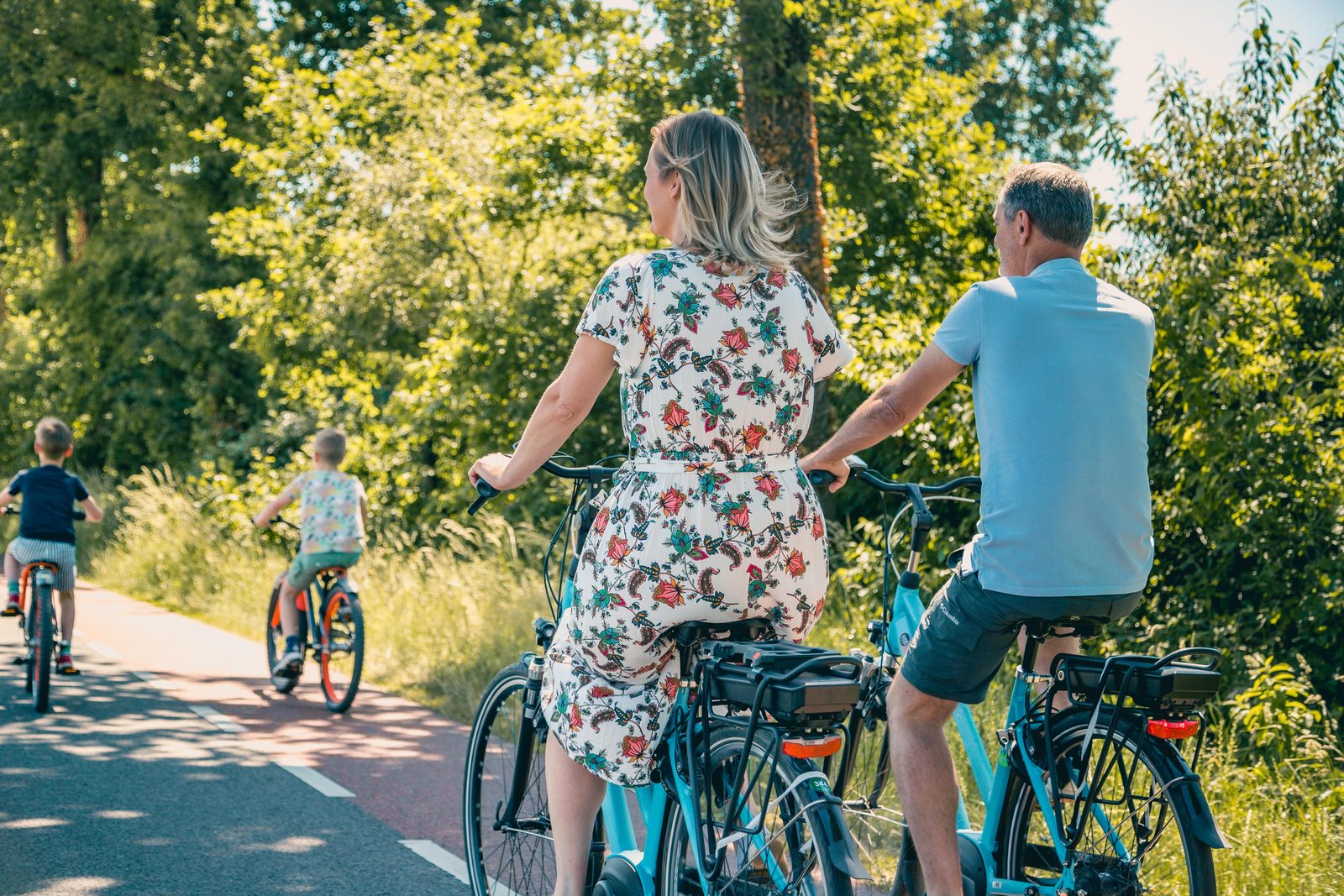 Bike rental