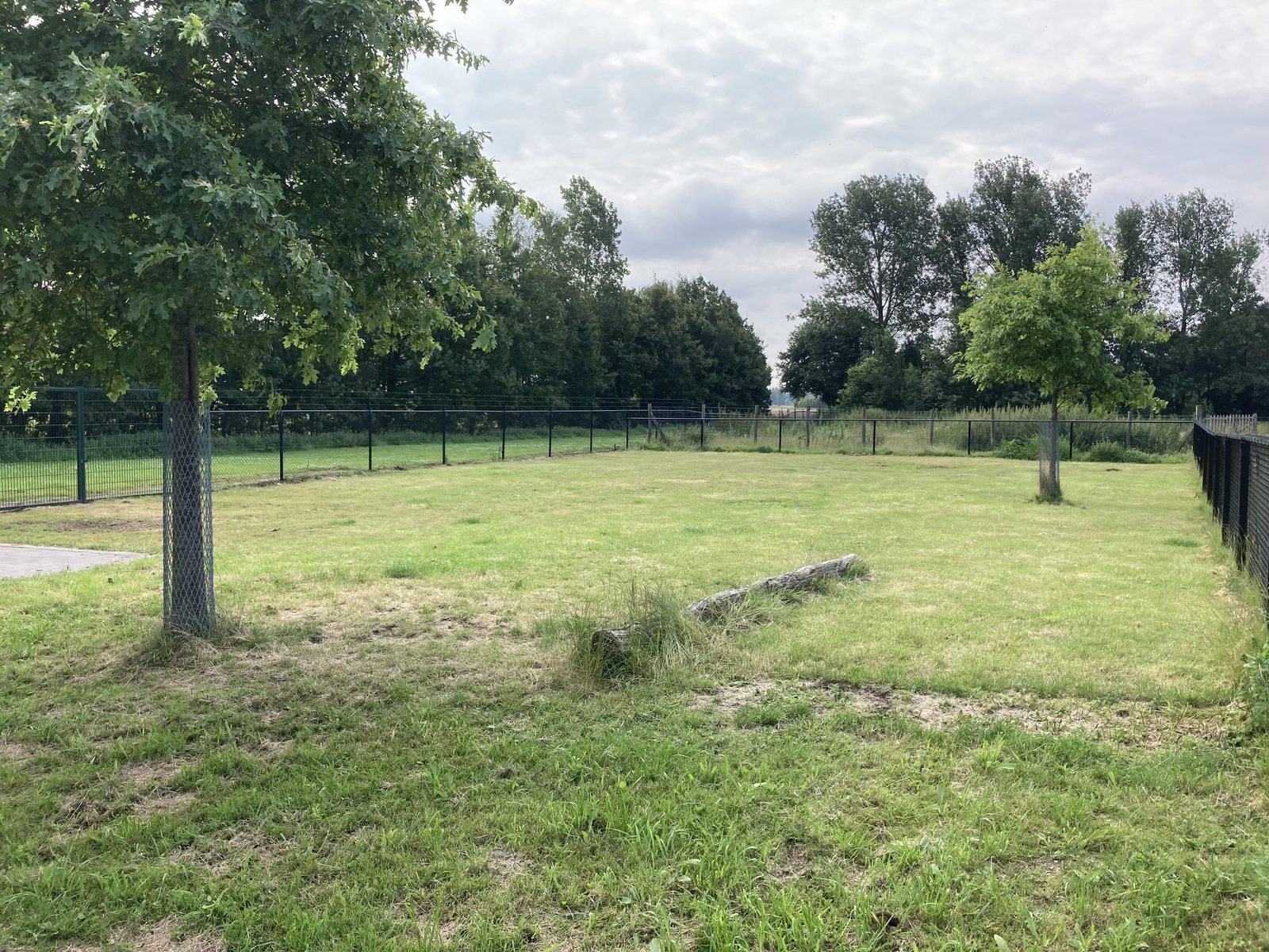 Dog paddock 