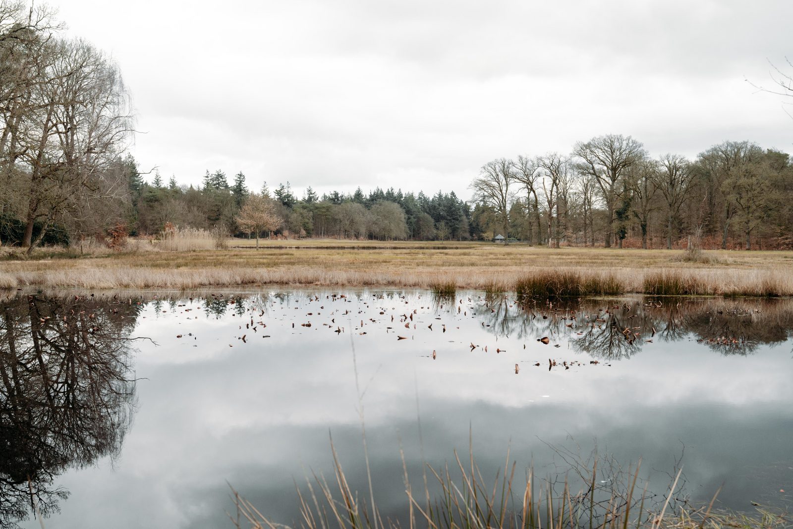 Hoge Veluwe