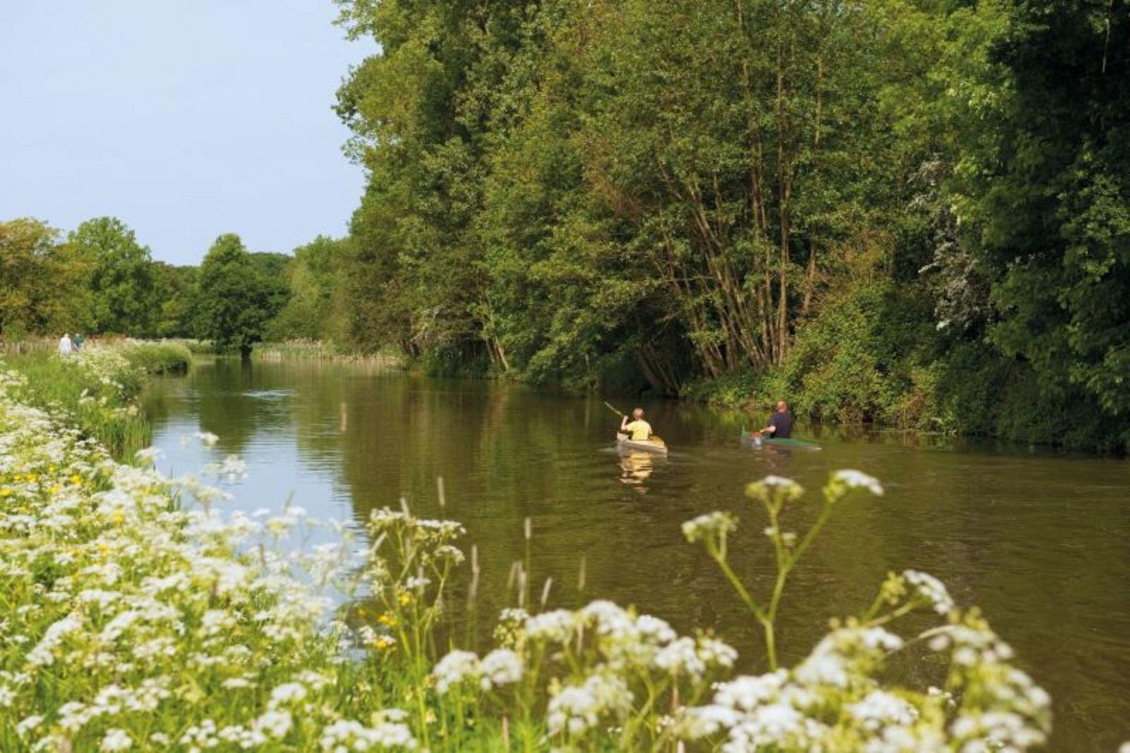 Nationaal Park De Biesbosch