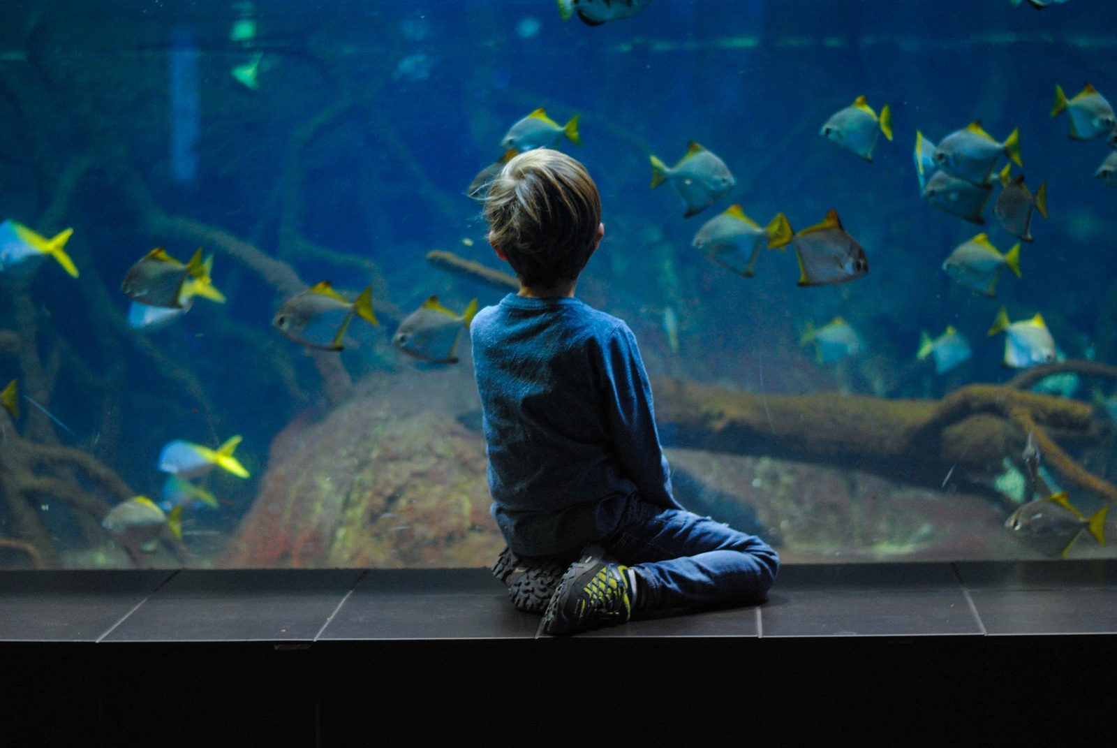 Zee Aquarium