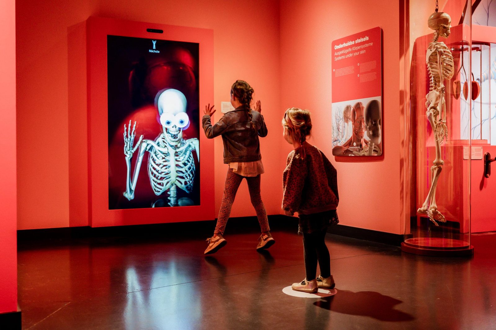 Discovery Museum