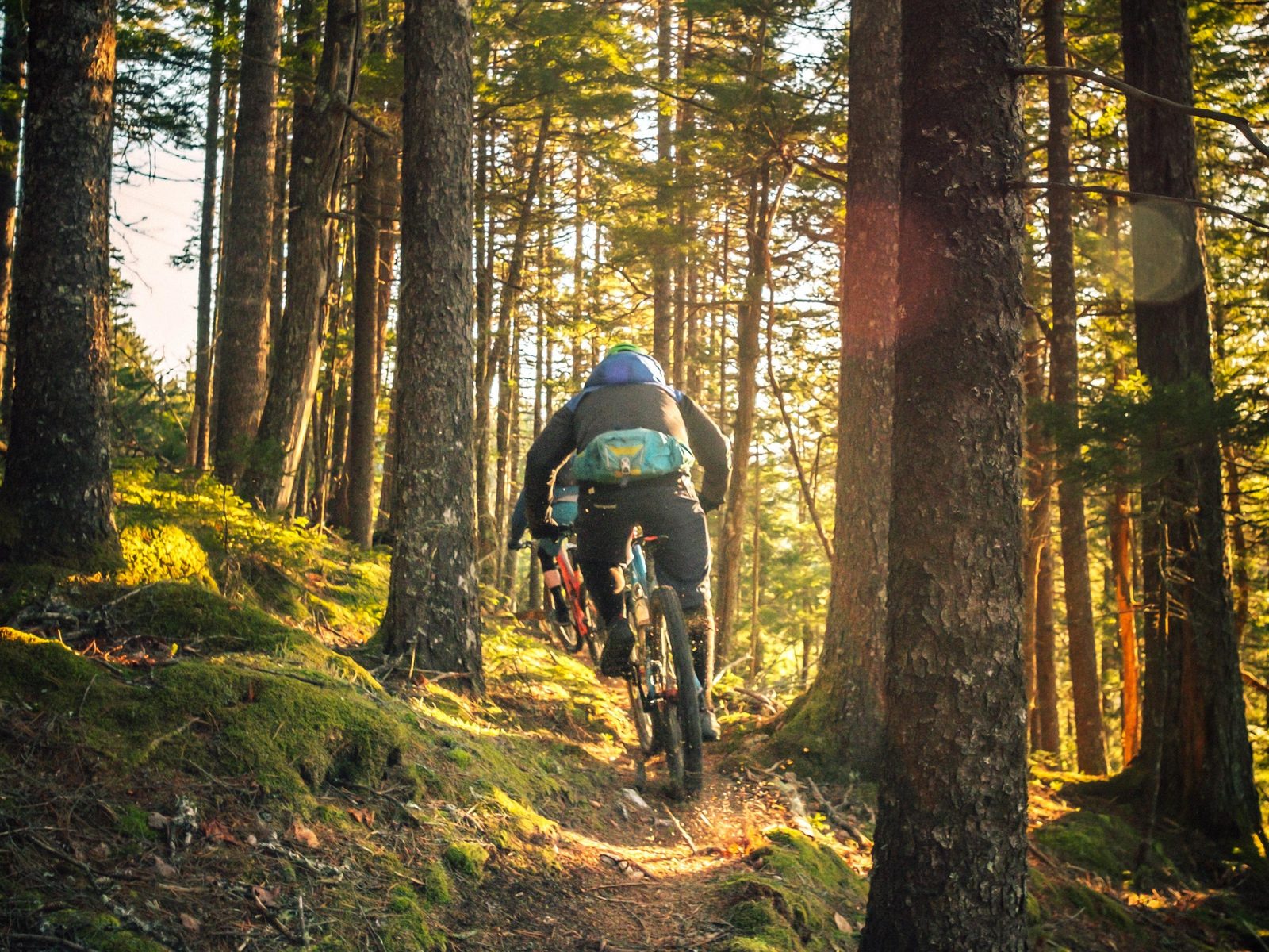 Mountainbike Parcours Schoorl
