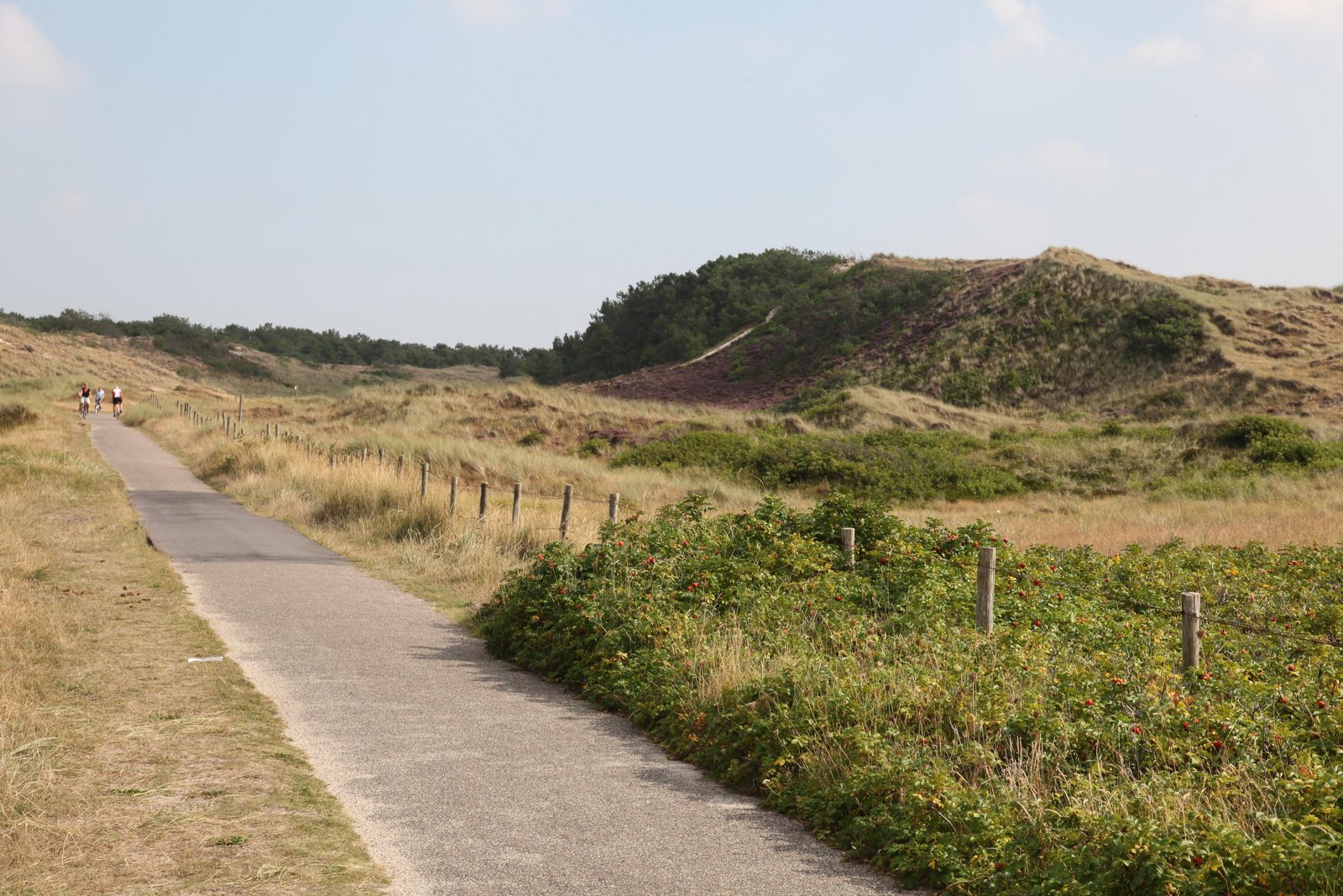 Cycling and walking routes