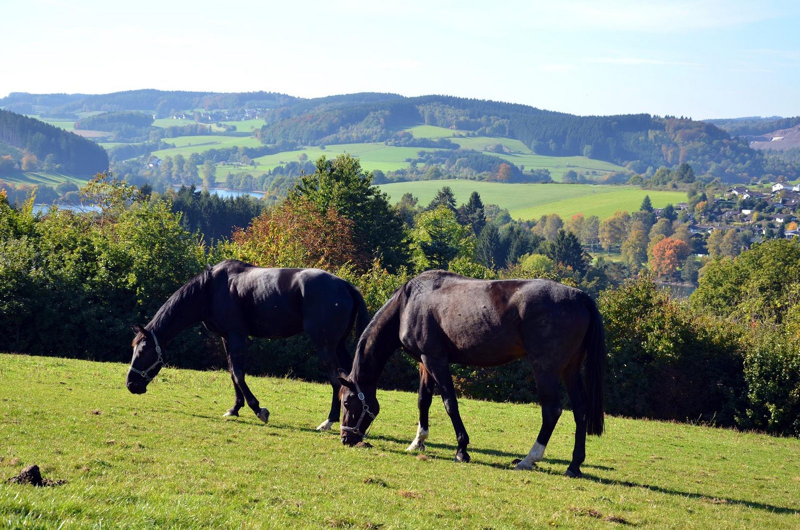 Wanderwege Biggesee