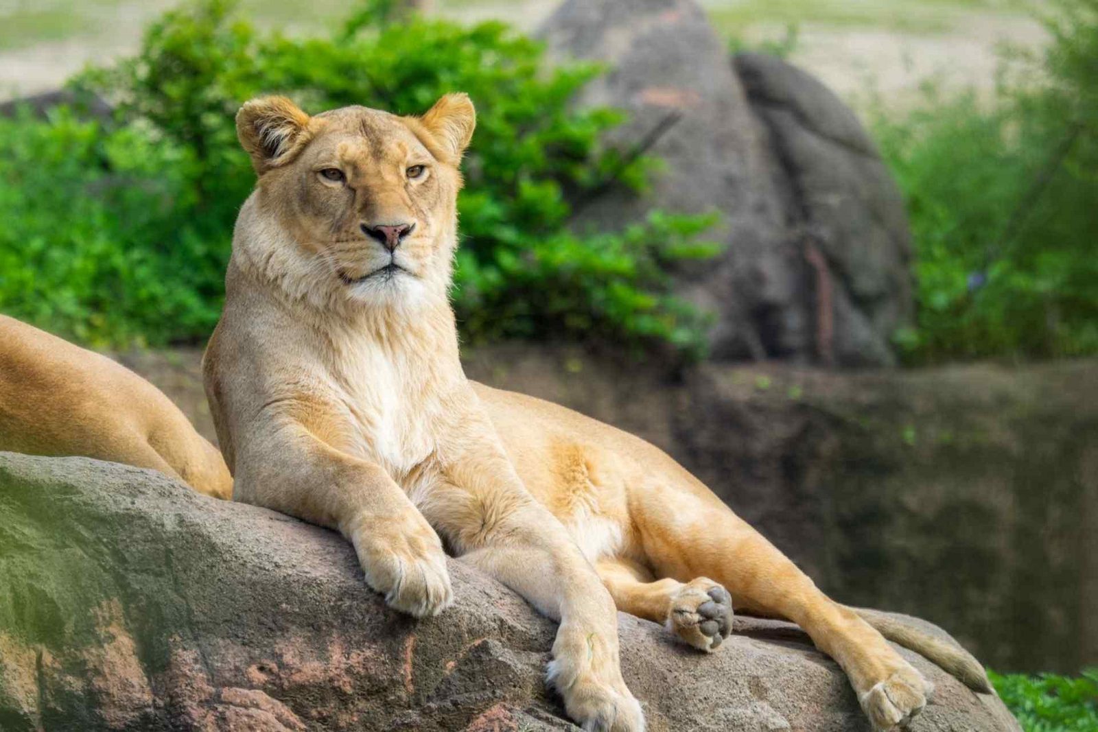 Burgers' Zoo