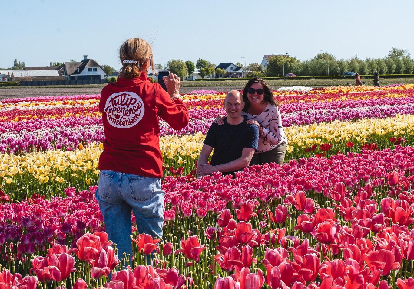 Tulip Experience