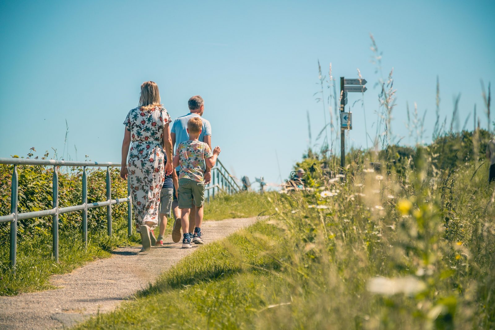Omgeving Maasduinen