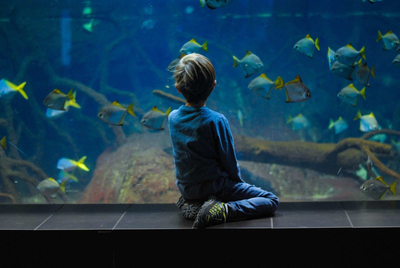 Zee Aquarium