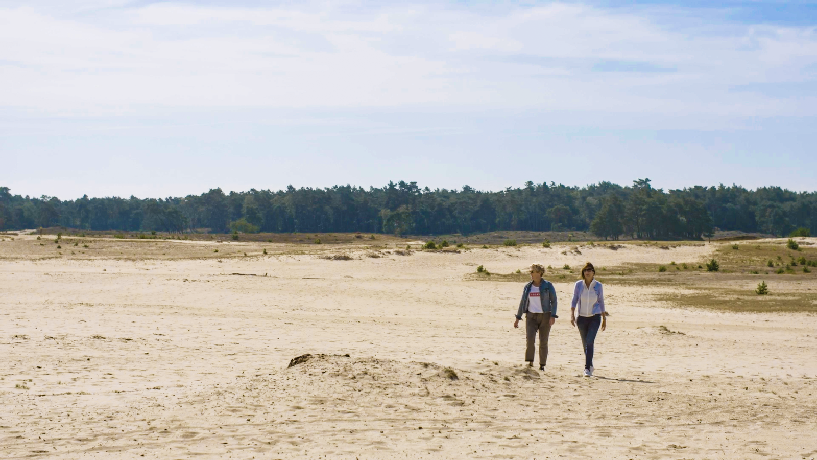 Fahrrad- und Wanderrouten Hoge Veluwe