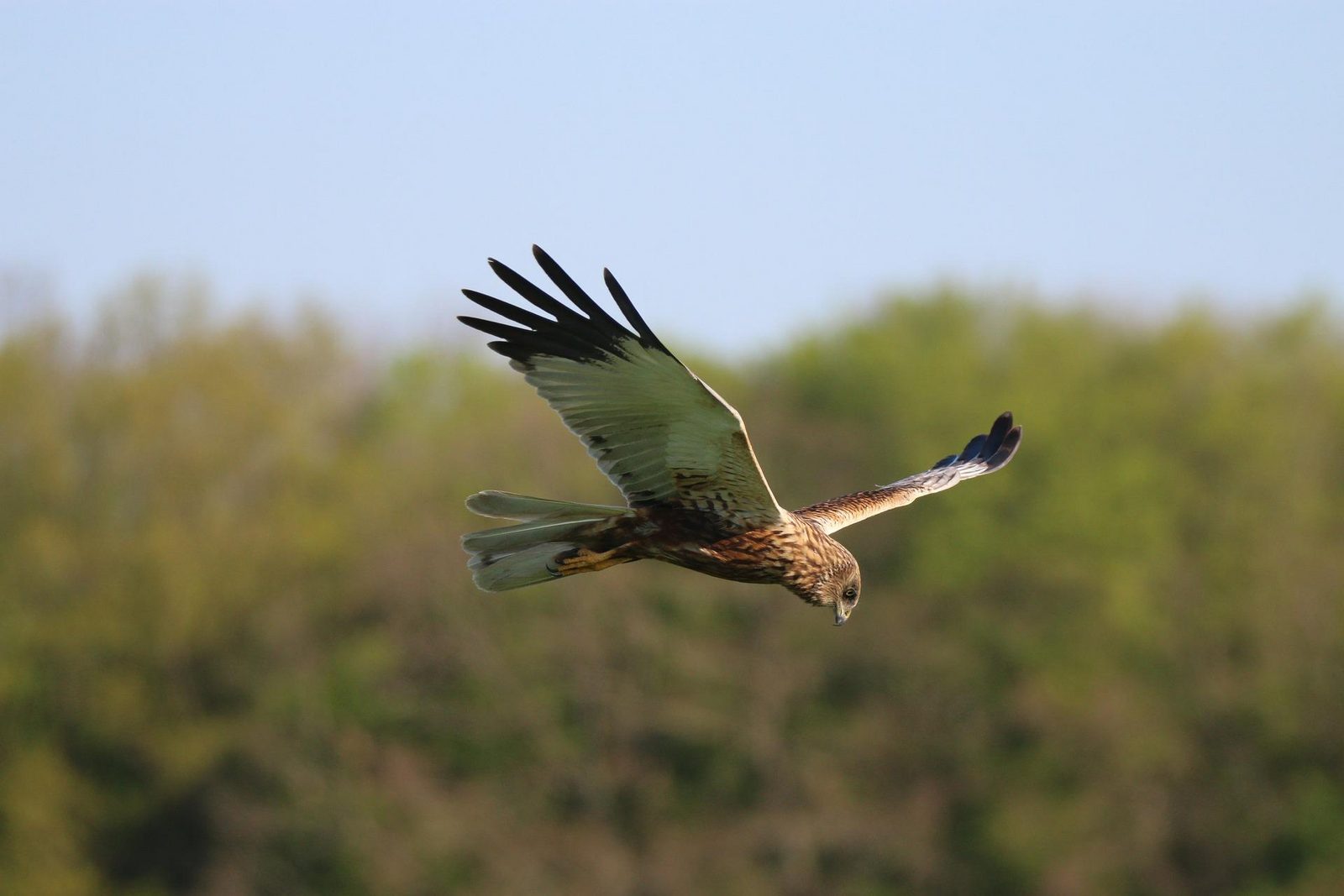 Erholungsgebiet Geestmerambacht