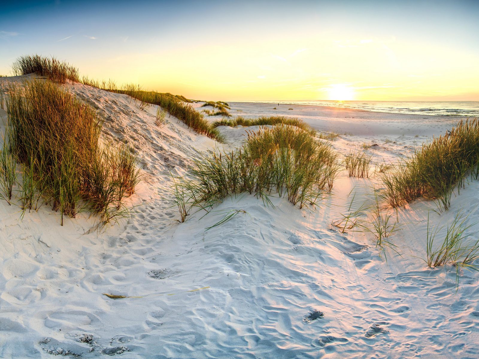 Natuurgebied Voornes Duin