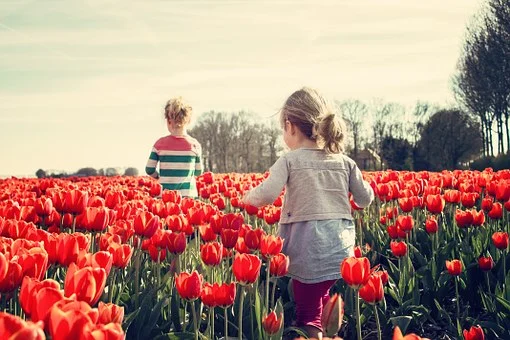 Tulpenvelden Anna Paulowna
