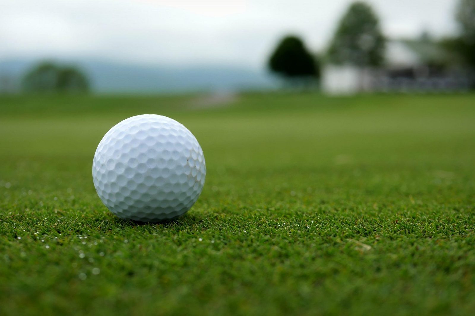Golfplatz Dorhout Mees